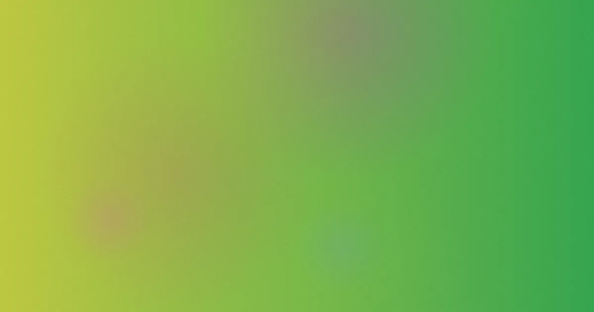 久久婷婷测评：避坑流程